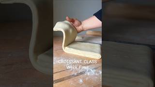 Croissant Class: Week Four- Single Fold Method. Get the guide in the caption! #croissant #howto