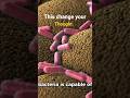 These will teach you to think.#facts #shorts #shortvideo