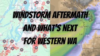 Windstorm Aftermath & What's Next for Western WA