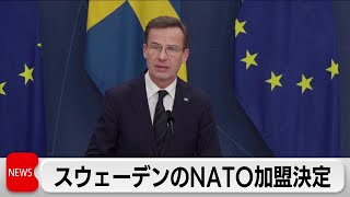 スウェーデンのNATO加盟決定（2024年2月27日）