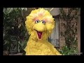 BIG BIRD HAS A GIANT NIGHTMARE ANGRY MESSAGE TO TALKING FRIENDS 2004
