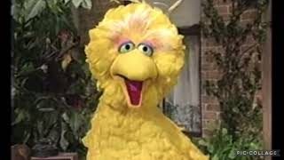 BIG BIRD HAS A GIANT NIGHTMARE ANGRY MESSAGE TO TALKING FRIENDS 2004