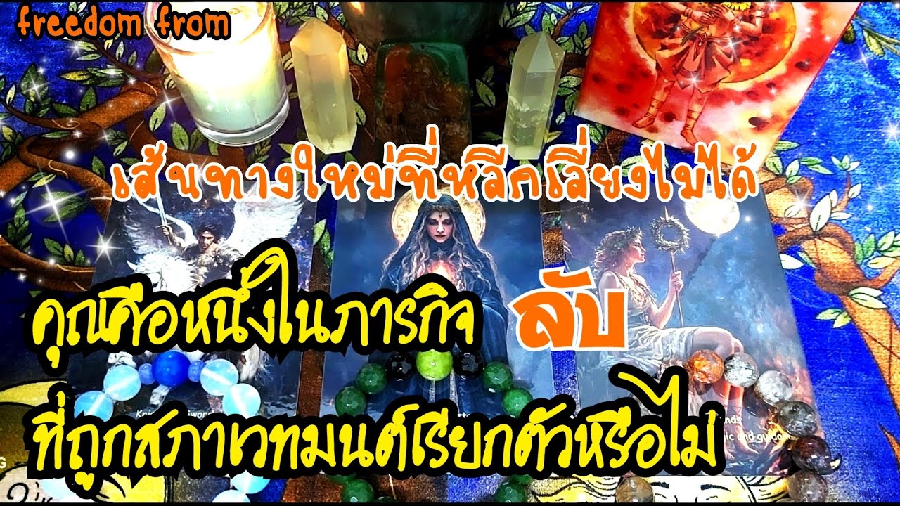 🐋EP.292คุณคือหนึ่งในภารกิจ (ลับ) ที่ถูกสภาเวทมนต์เรียกตัวหรือไม่