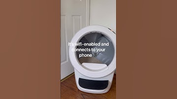 Best Self-Cleaning Litter Box 🐈