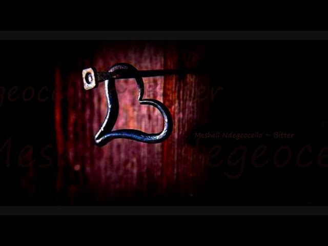Bitter ~ Meshell Ndegeocello - YouTube
