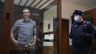 L'opposant russe Alexeï Navalny est 