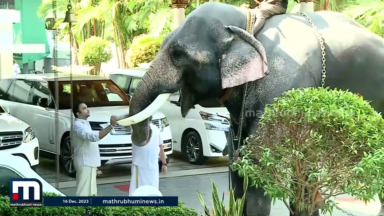നന്തിലത്ത് ആനത്തറവാട്ടിലെ യുവരാജാവ് നന്തിലത്ത് ഗോപാലകൃഷ്ണൻ.