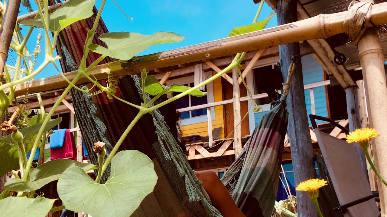 Casa Arachania - Rocha, Uruguay - YouTube