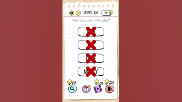 brain test level 100