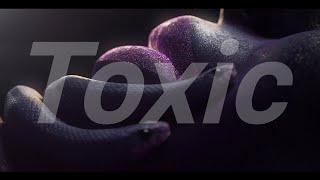 Evelynn - Toxic (edit)