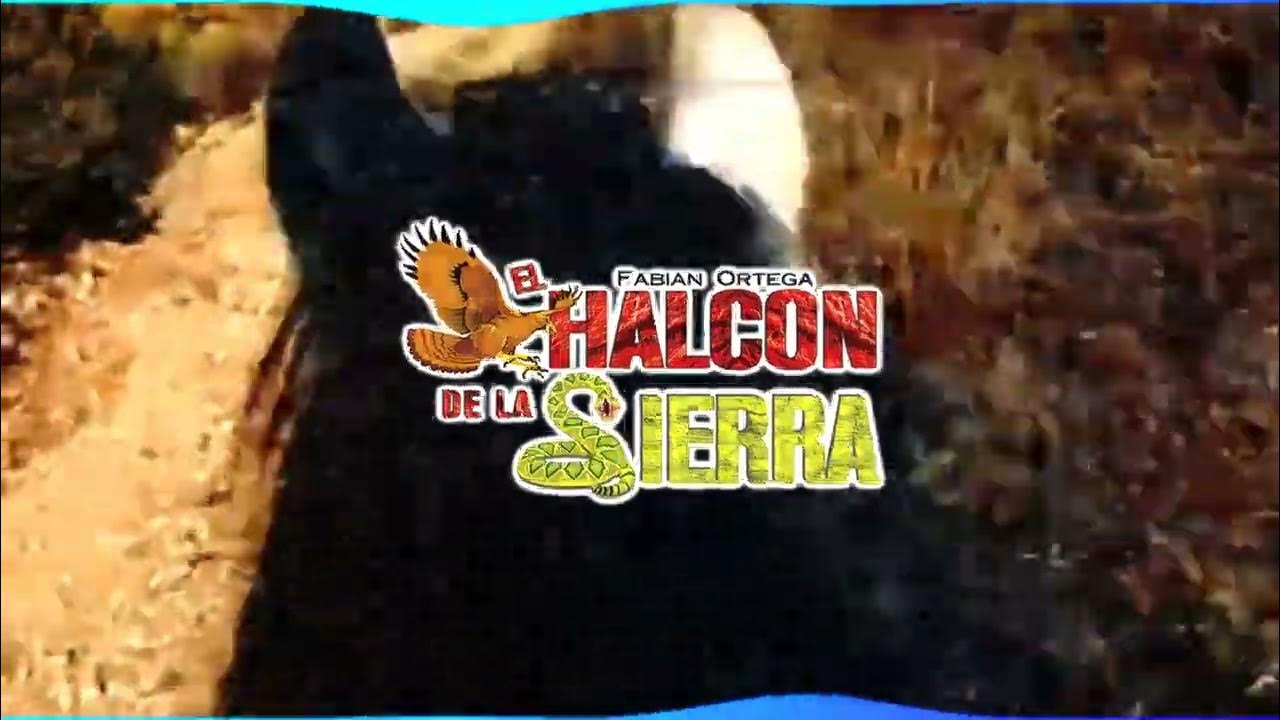 La Metralladora (Letra) La Metralladora (Letra)