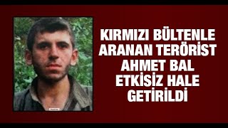 Kırmızı Bültenle Aranan Terörist Ahmet Bal Etkisiz Hale Getirildi