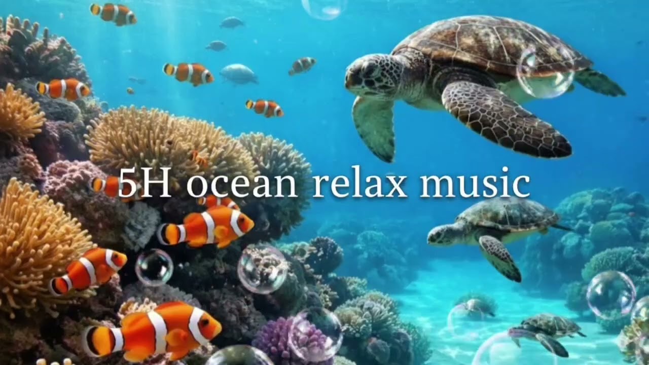 5 hours Ocean Ambience 🐋| Relaxing Music & Waves