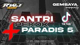 SANTRI PEKOK X MELODY // Gak Ngerti Koyok PARADIS 10 JINGLE RWJ AUDIO AND GEMBAYA COMMUNITY