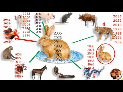 Video: Cov duab zoo tshaj plaws ntawm lub lim tiam dhau los (Tsib Hlis 02-08) los ntawm National Geographic