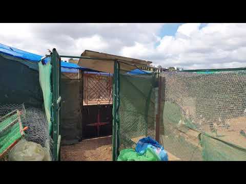 تربية السمان في ضيعة نمودجية