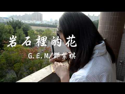三民大傳偽mv一小-岩石裡的花