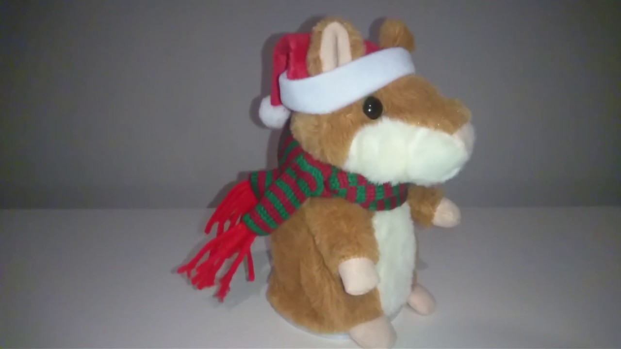 talking hamster youtube