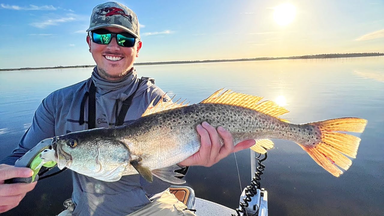 Catching BIG Trout Using the No Live Bait Needed (NLBN) Mini