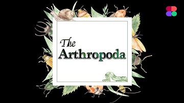 Phylum Arthropoda 🦀 | Entomology | Agriculture