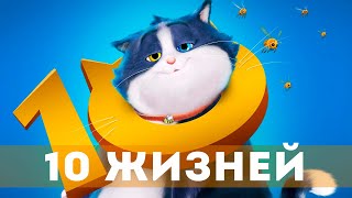10 Жизней (2024) Мультфильм, Семейный | Русский Трейлер