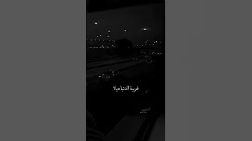 غريبة الناس غريبة الدنيا ديا حالات واتس وائل جسار 