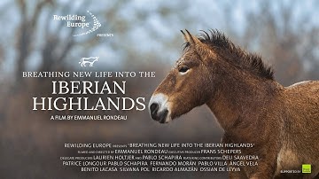 Breathing New Life Into The Iberian Highlands | Documentary by Emmanuel Rondeau | Rewilding Spain