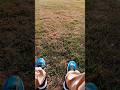 like n sub #coast #sunset #Beach #420 #nike #dunes #pnwstoners #nba #rap