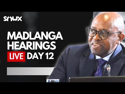 Madlanga Commission Witness X Testifies