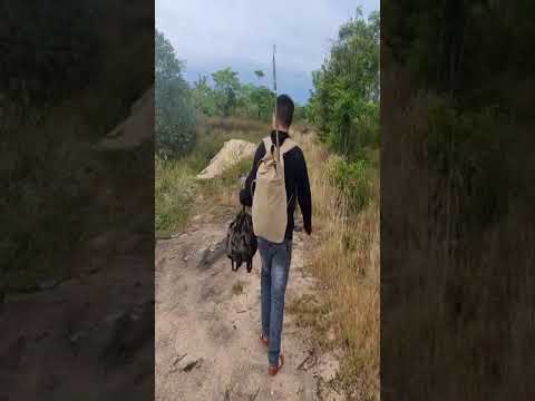 Video Nghiện Chim Là Dỡ Rồi| Đam Mê Dẫn Lối & Chào Mào Đam... - youtube