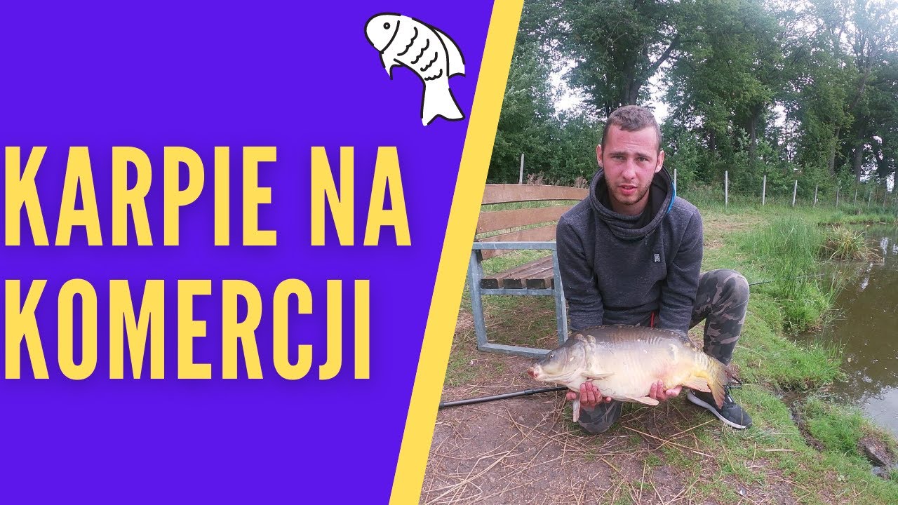 Mega Duży Karp! [ Łowisko Rogiedle ] #6