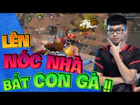 NTN Giả Bot Leo Nóc Nhà Clear Nửa Map và CÁI KẾT