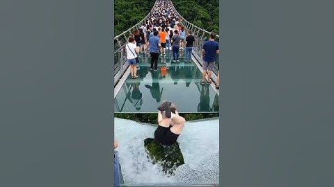 “Imagine Being on This Glass Bridge When It Collapses 😨 #shorts”
