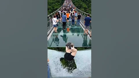 “Imagine Being on This Glass Bridge When It Collapses 😨 #shorts”