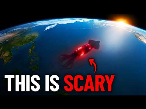 Nothing About the Colossal Squid's Anatomy Makes Scientific Sense