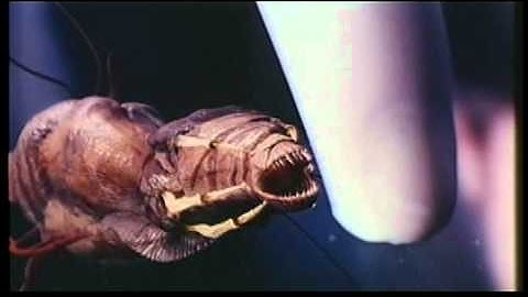 【映画】パラサイト　日本国劇場予告編