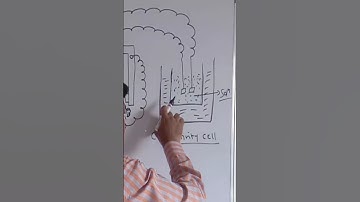 Conductivity cell construction - 5.Learn chemistry  with prof.Maheshkumar.M.Sc.B.Ed.SET,Ph.D.(app).