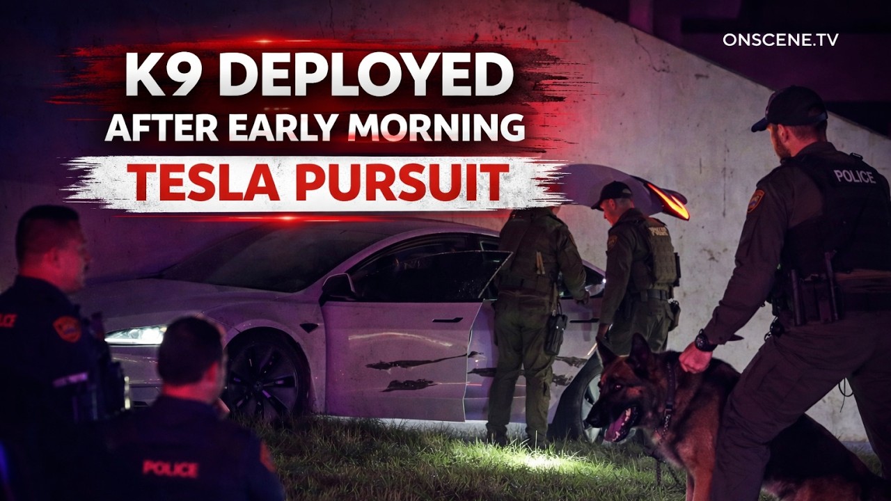 K9 Deployed After Early Morning Tesla Pursuit