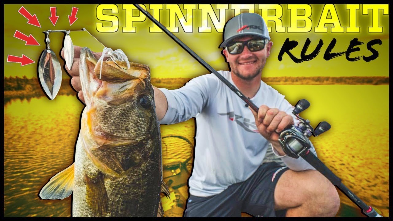 Big Florida Bass on Spinner Baits 