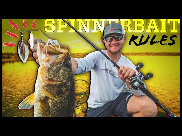 Spinnerbait Comeback - When and How to Use (5 Tips) 