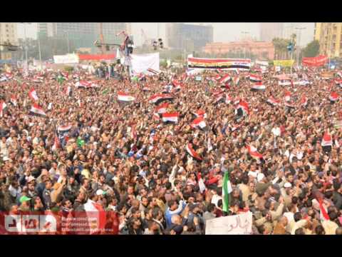 الفارس ينزل فى الميدان