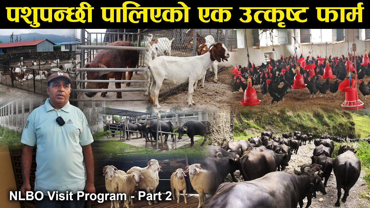 पशुपन्छी पालन गरिएको एक उत्कृष्ट फार्म | NLBO Visit Program Part 2