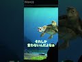 【激レア回】見たことある人いるの？【バズ登場】 #Shorts