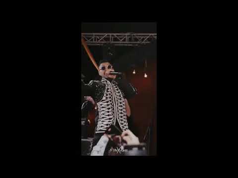 جواهره مهرجان كل الناس بوجي الا انتي طمطم