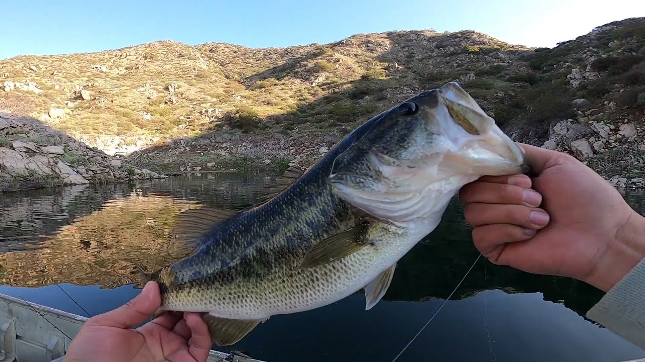 Spring Fishing in San Diego. The Bite was HOT!!