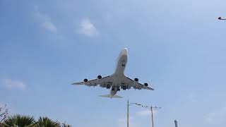 LUFTHANSA Boeing 747-8 from Frankfurt landing in Los Angeles