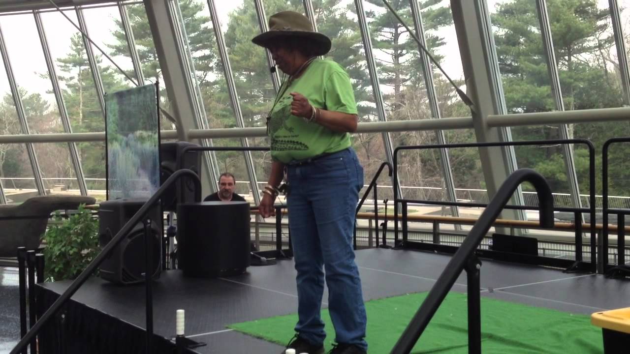 N.E. Reptile & Raptor Exhibits at the Pequot Museum - YouTube