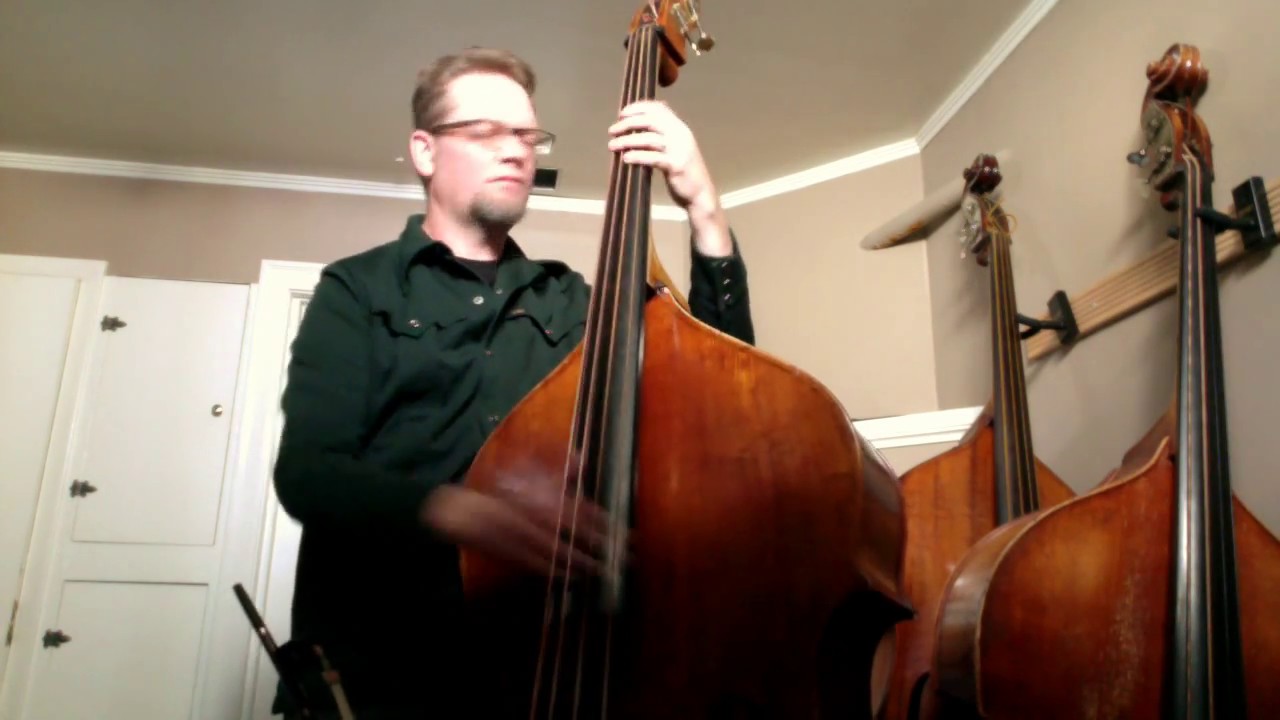 Double Bass - Gut-a-like Swingmaster strings | TalkBass.com
