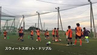 【タニラダーを使った】スウィートスポット習得ドリブルトレーニング