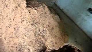MVI_0707.AVI